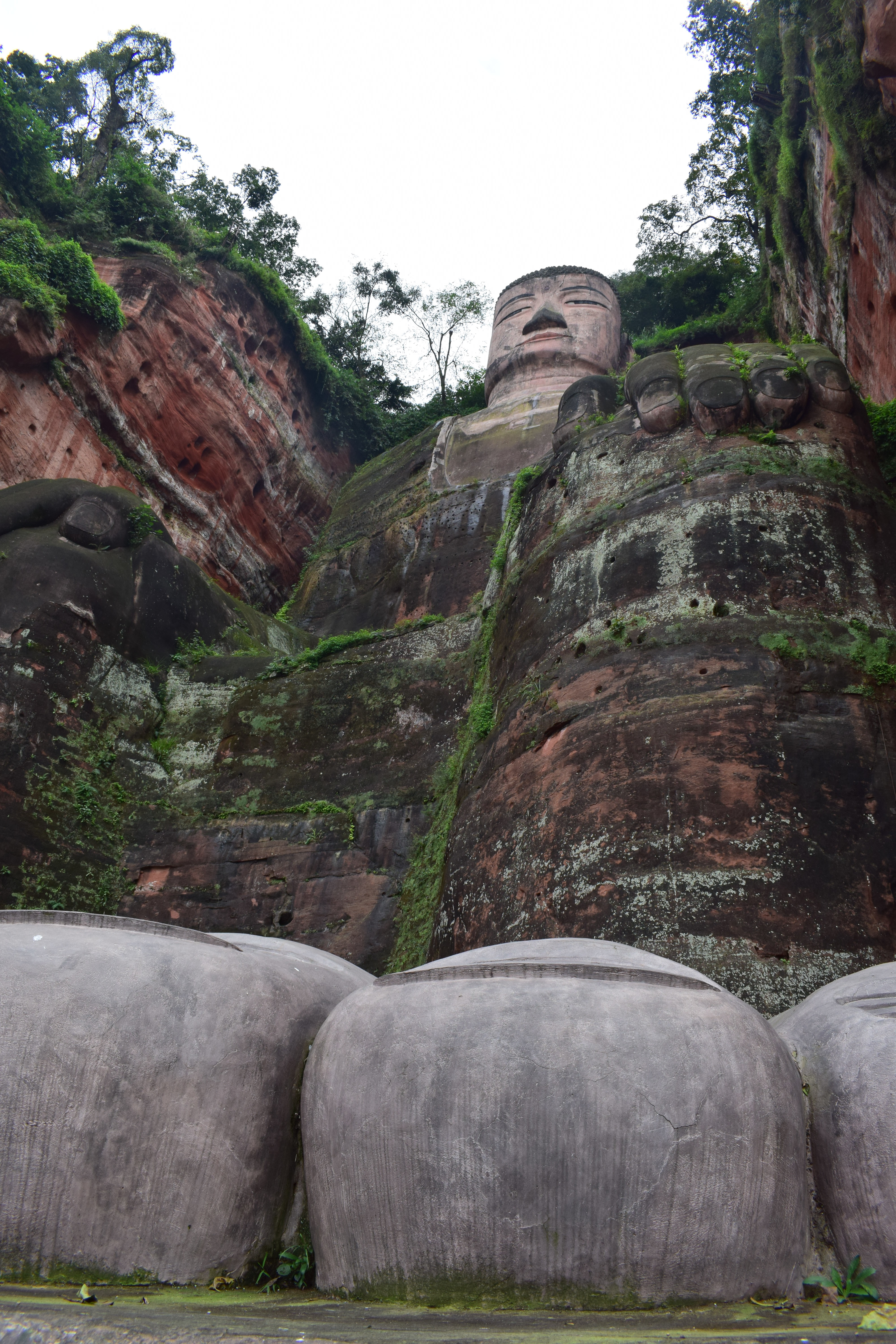 Buddha all