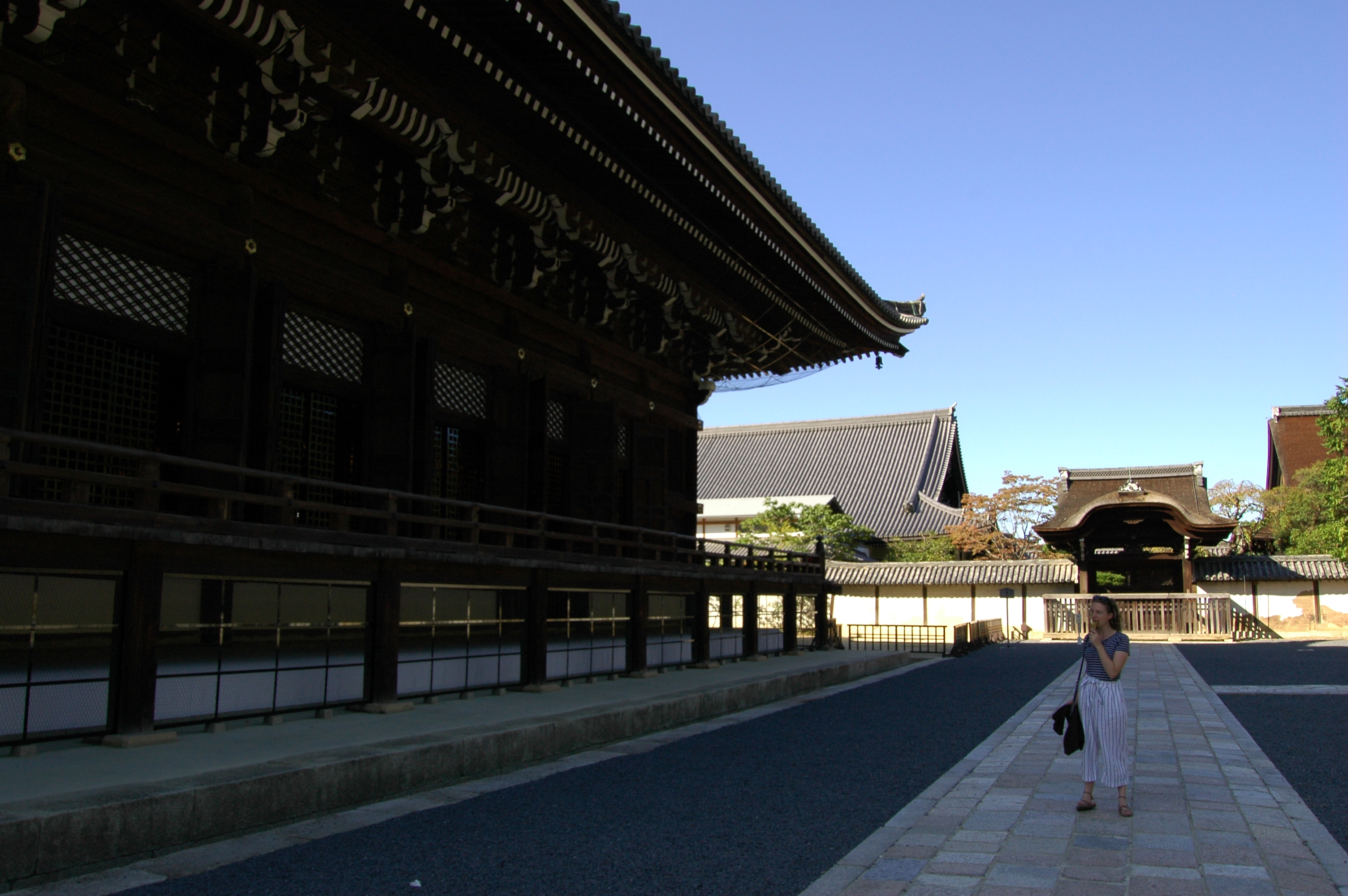 Chion-in
