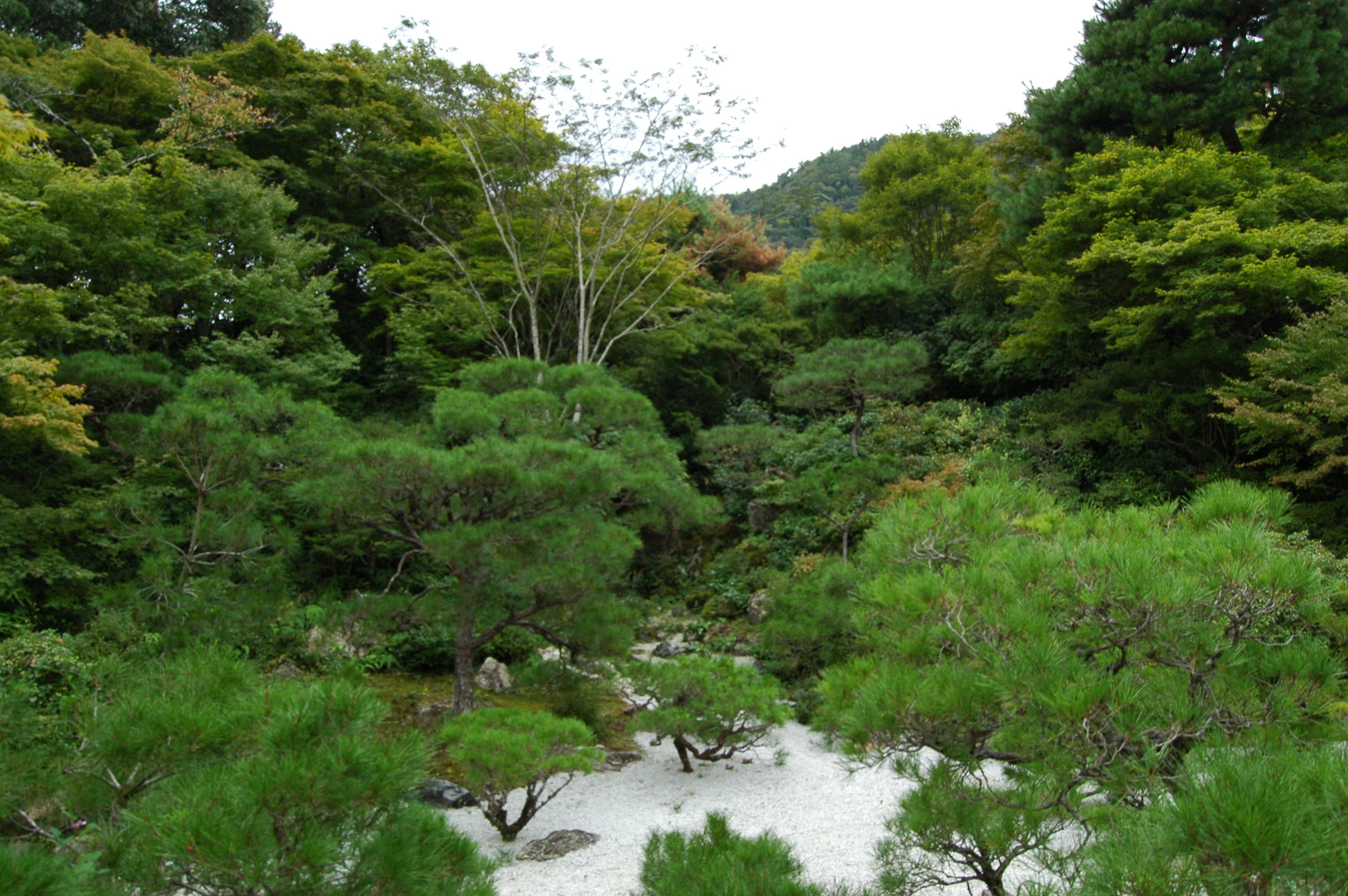 Film gardens