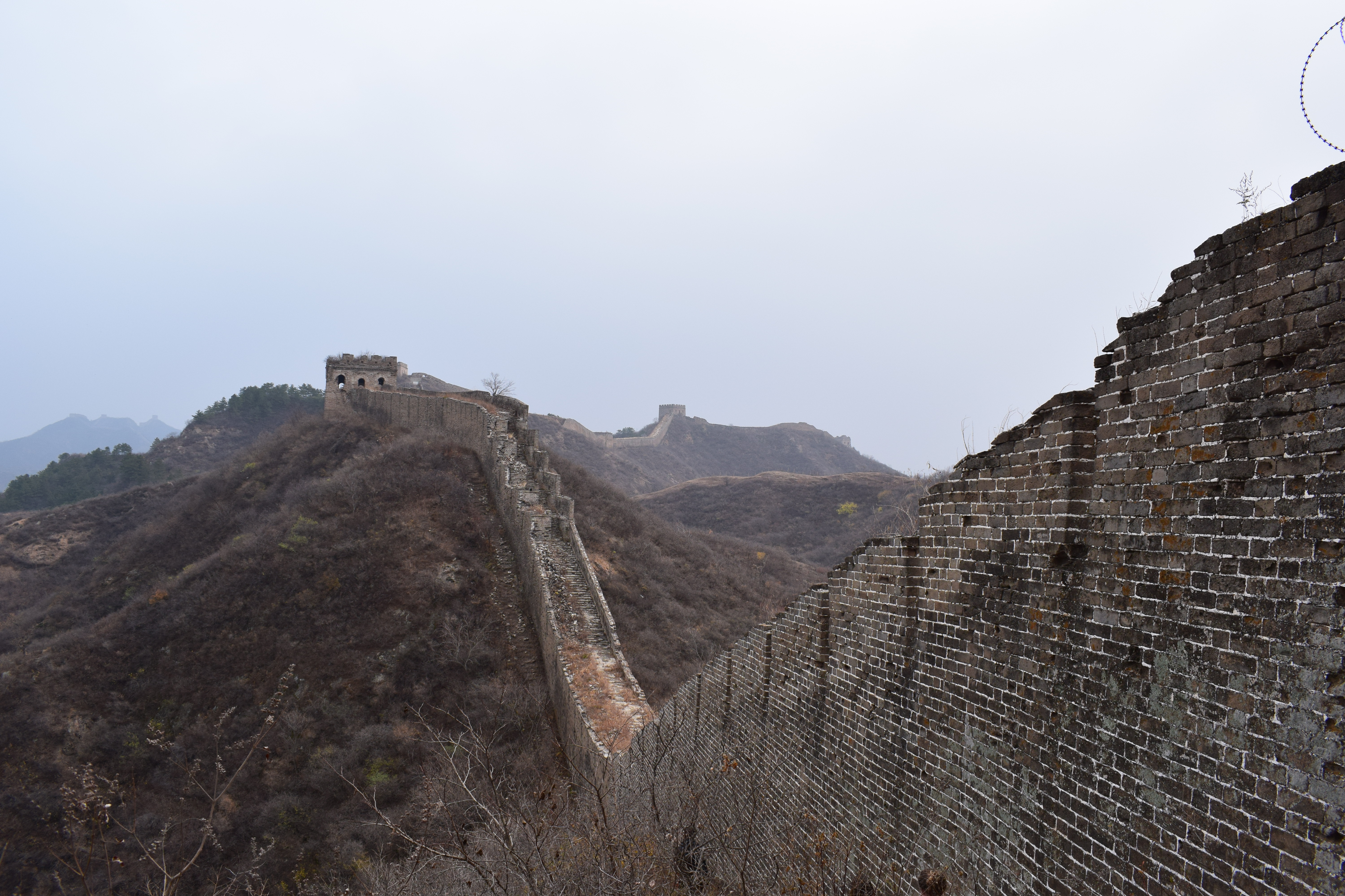 Great wall Kate