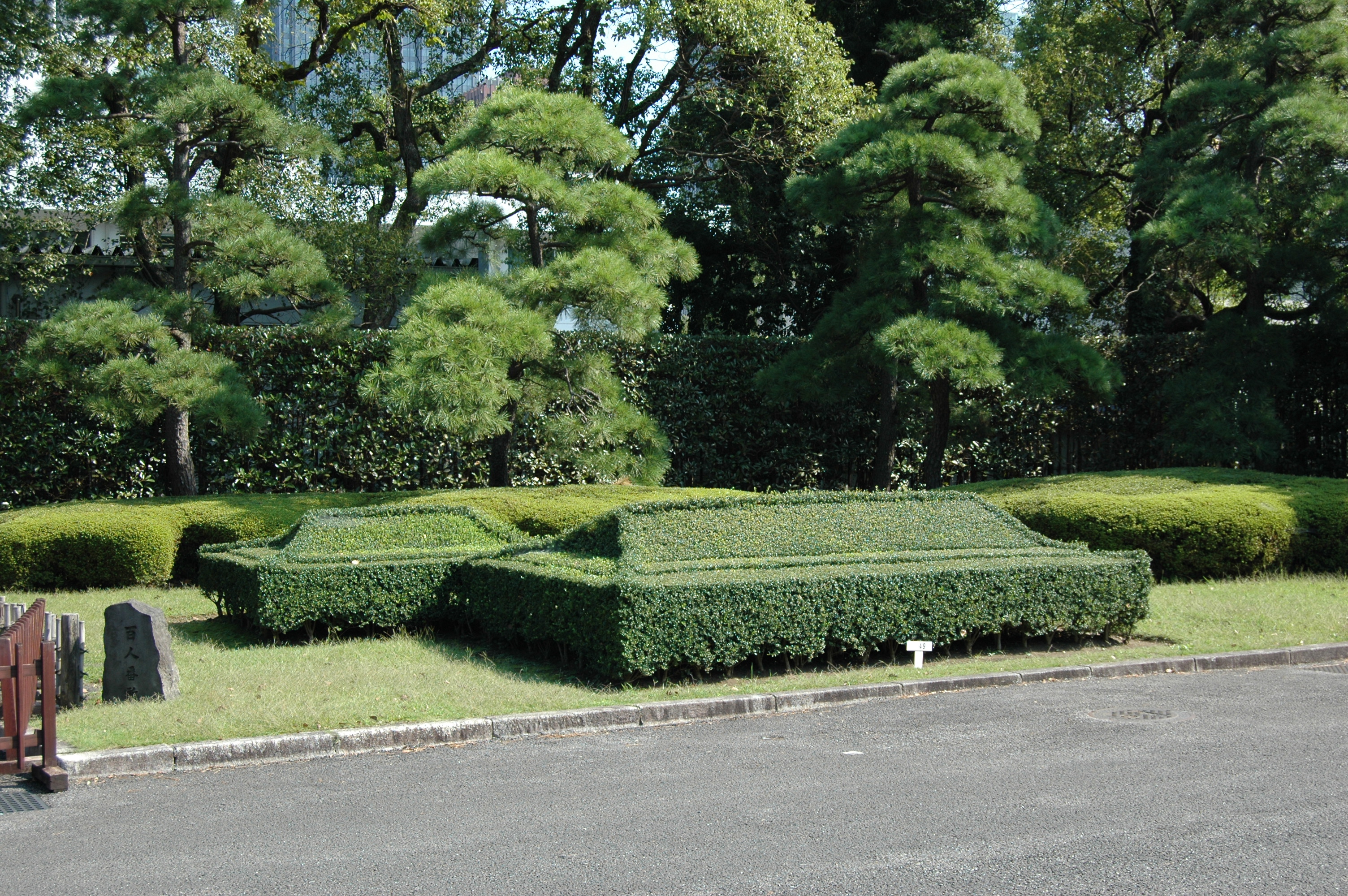 Hedges