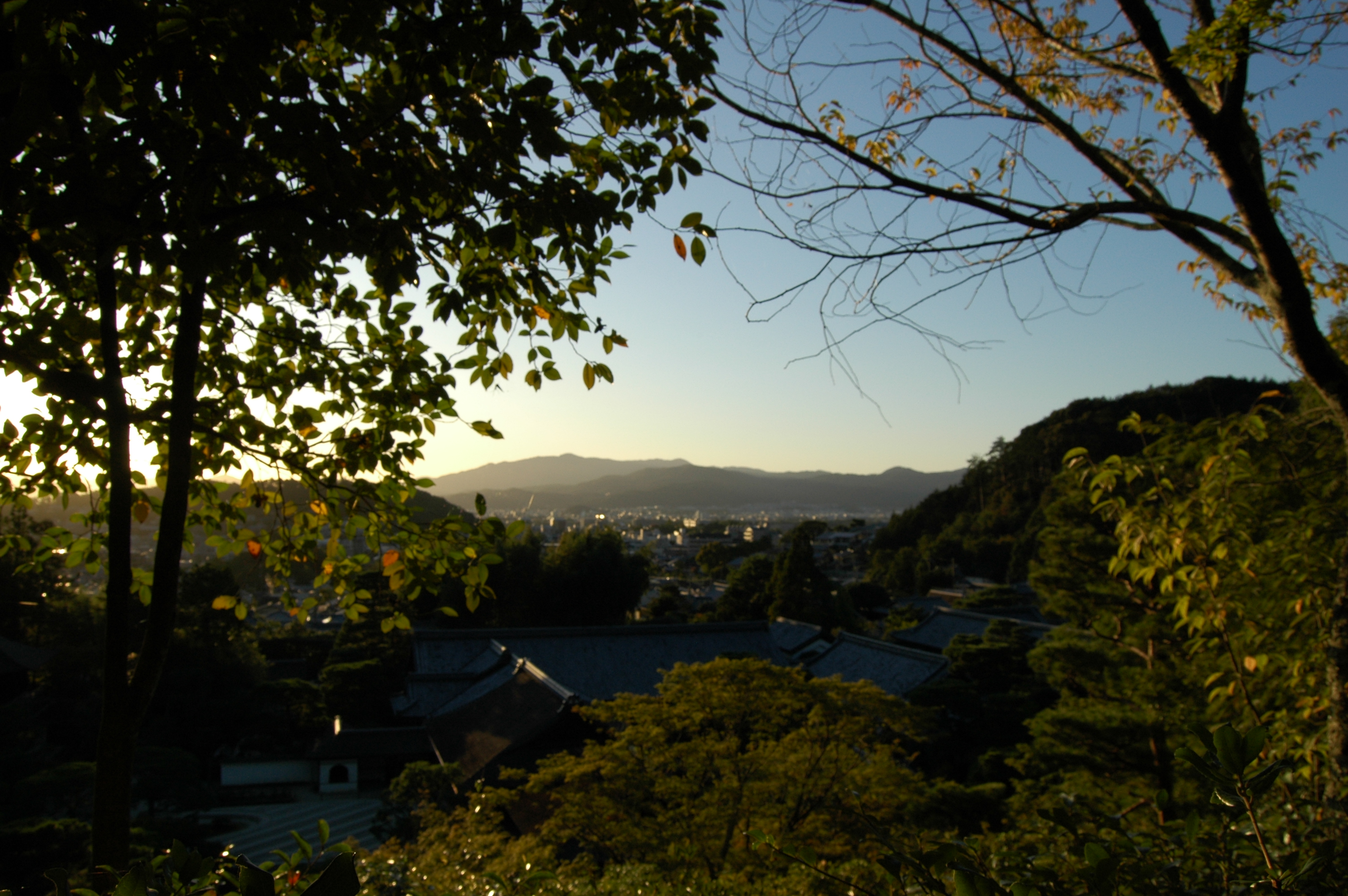 Joshi-ji