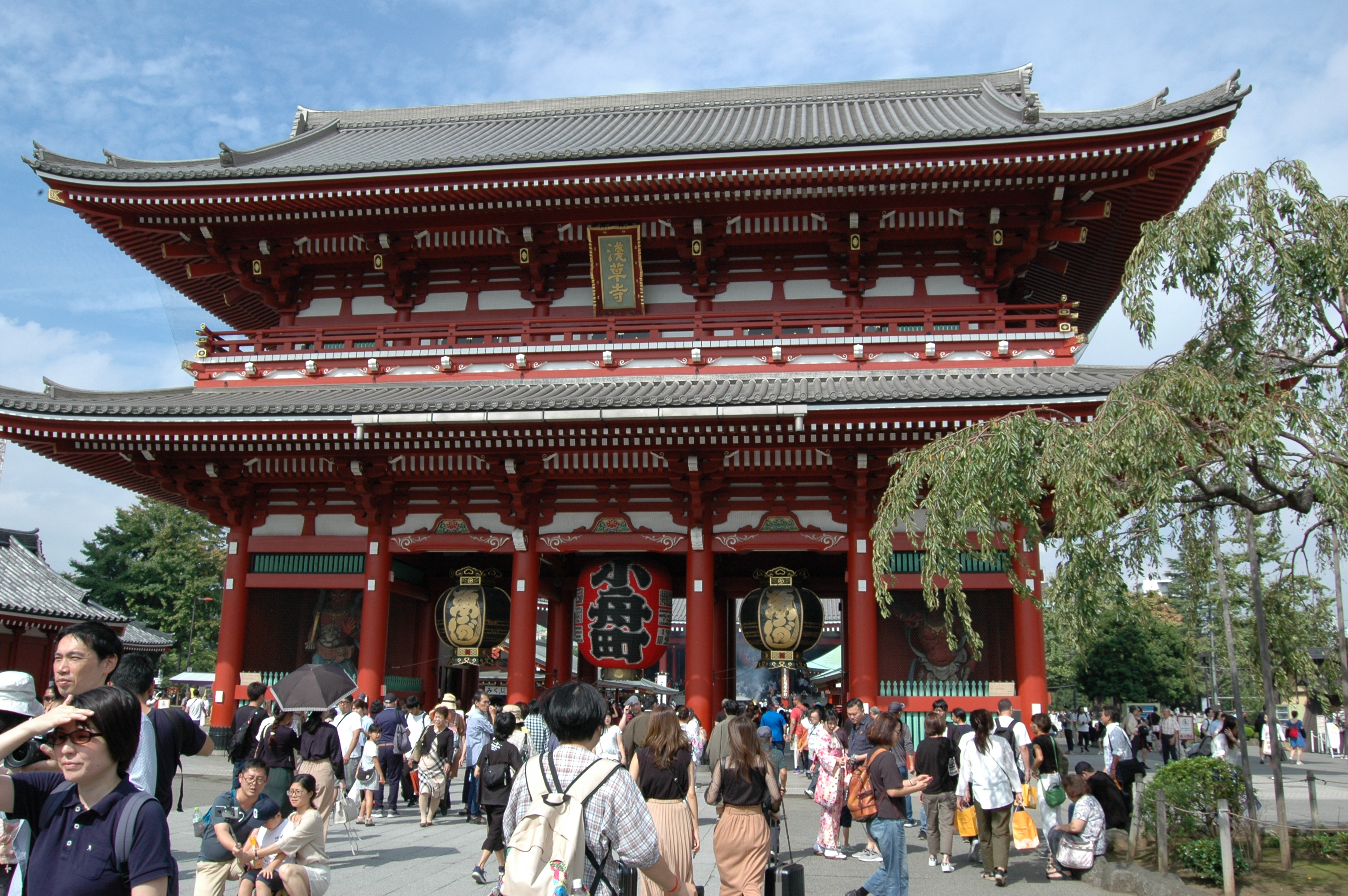 SensoJi