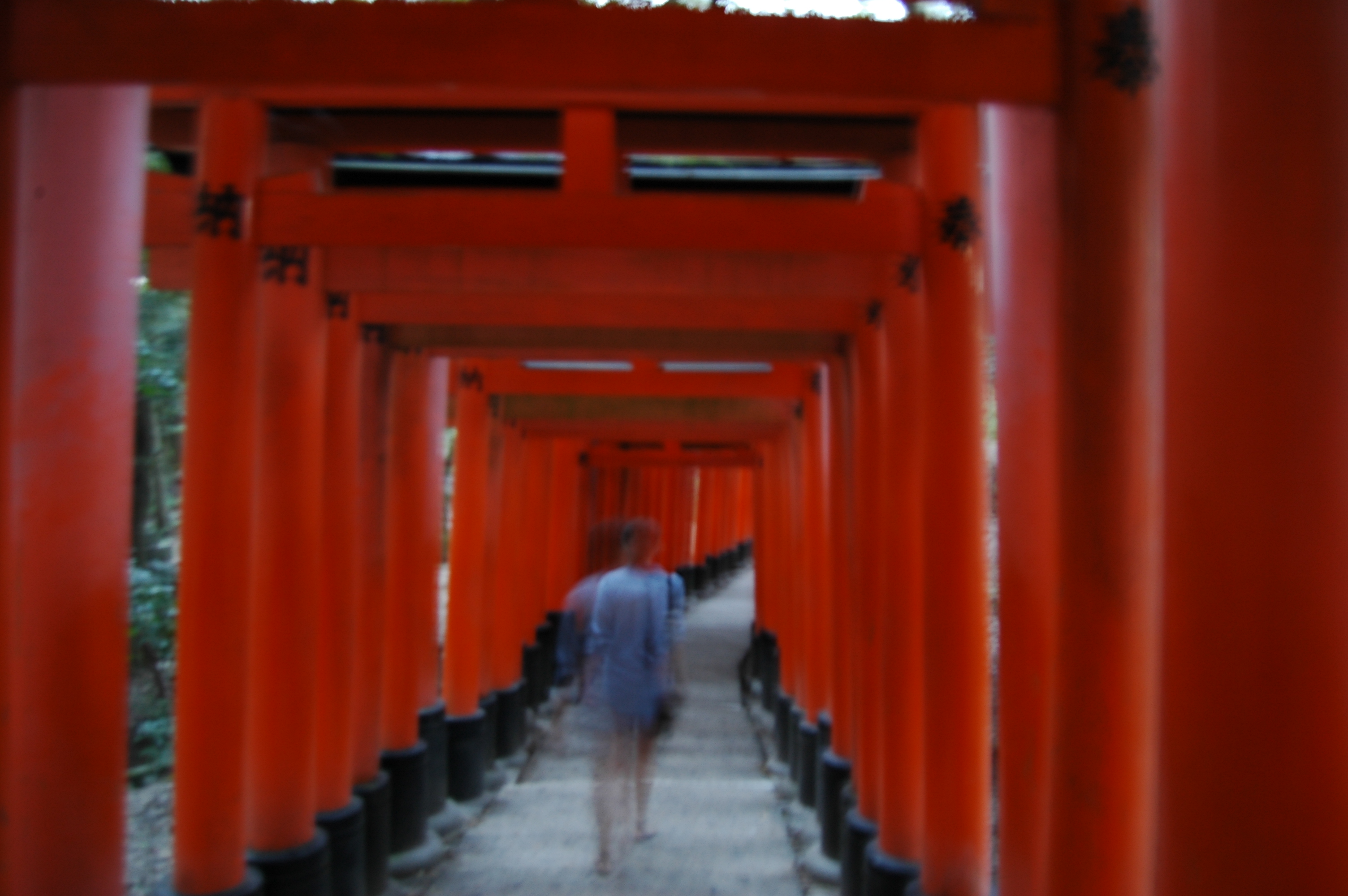 Shinto gates
