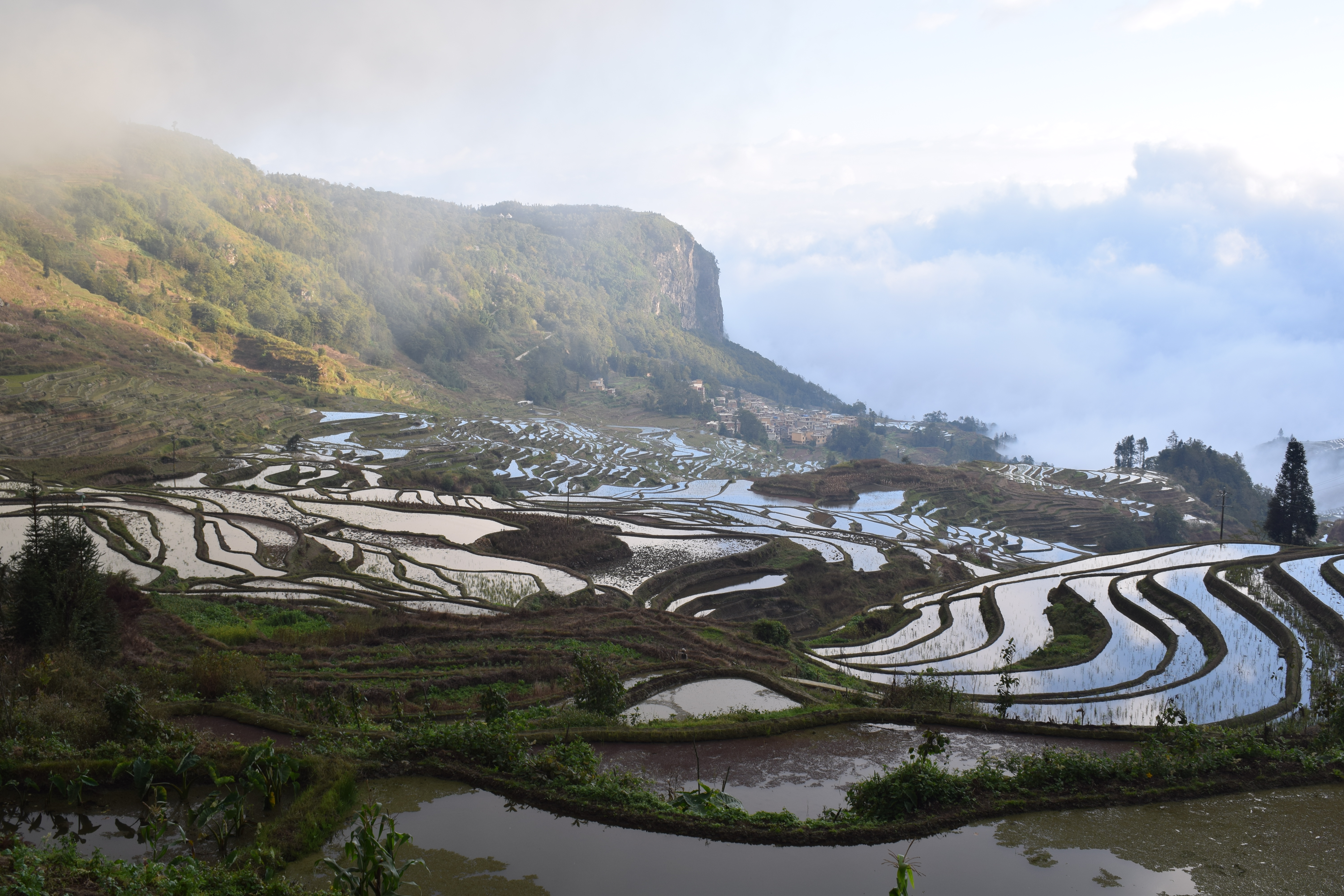 Yuanyang 1