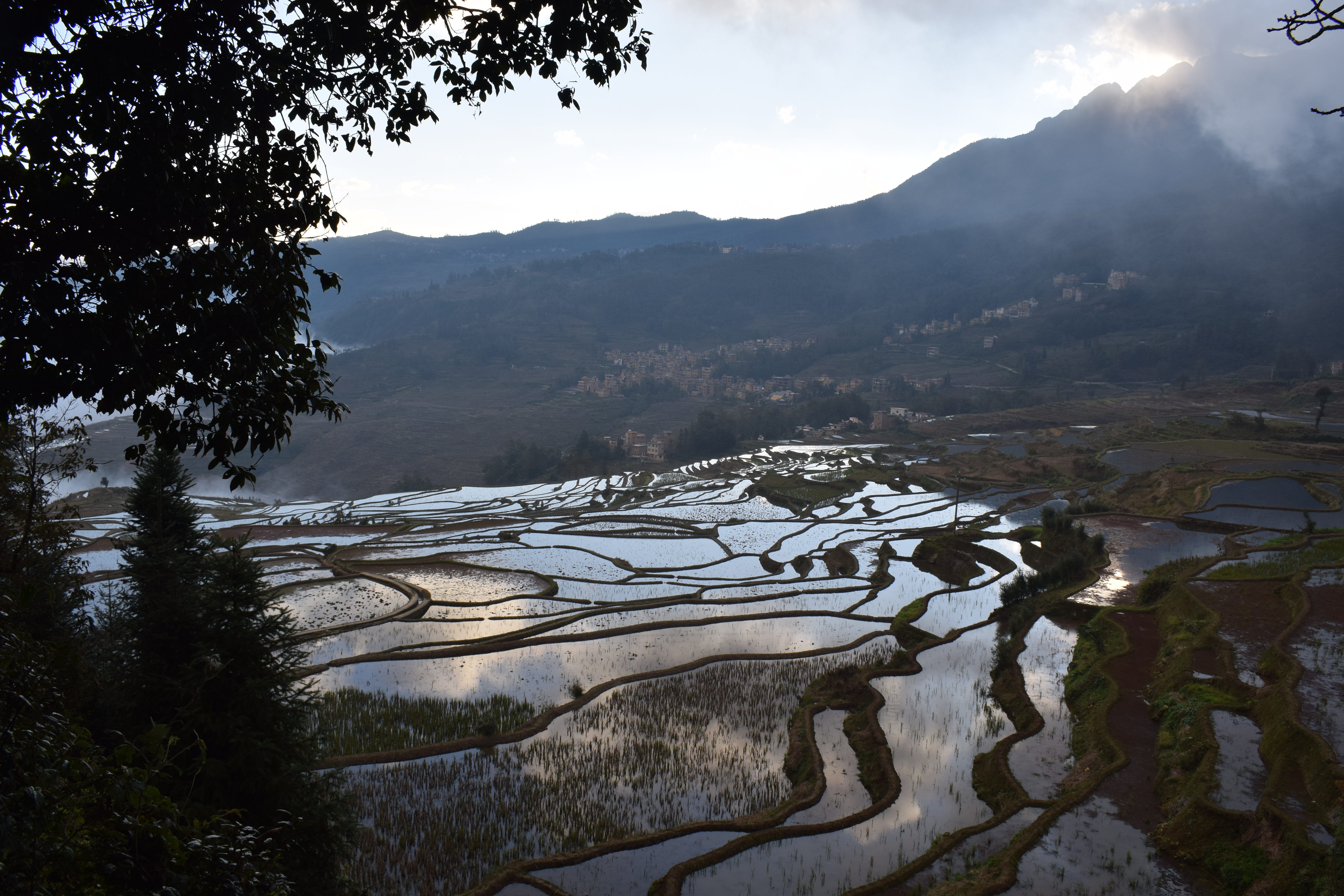 Yuanyang 2