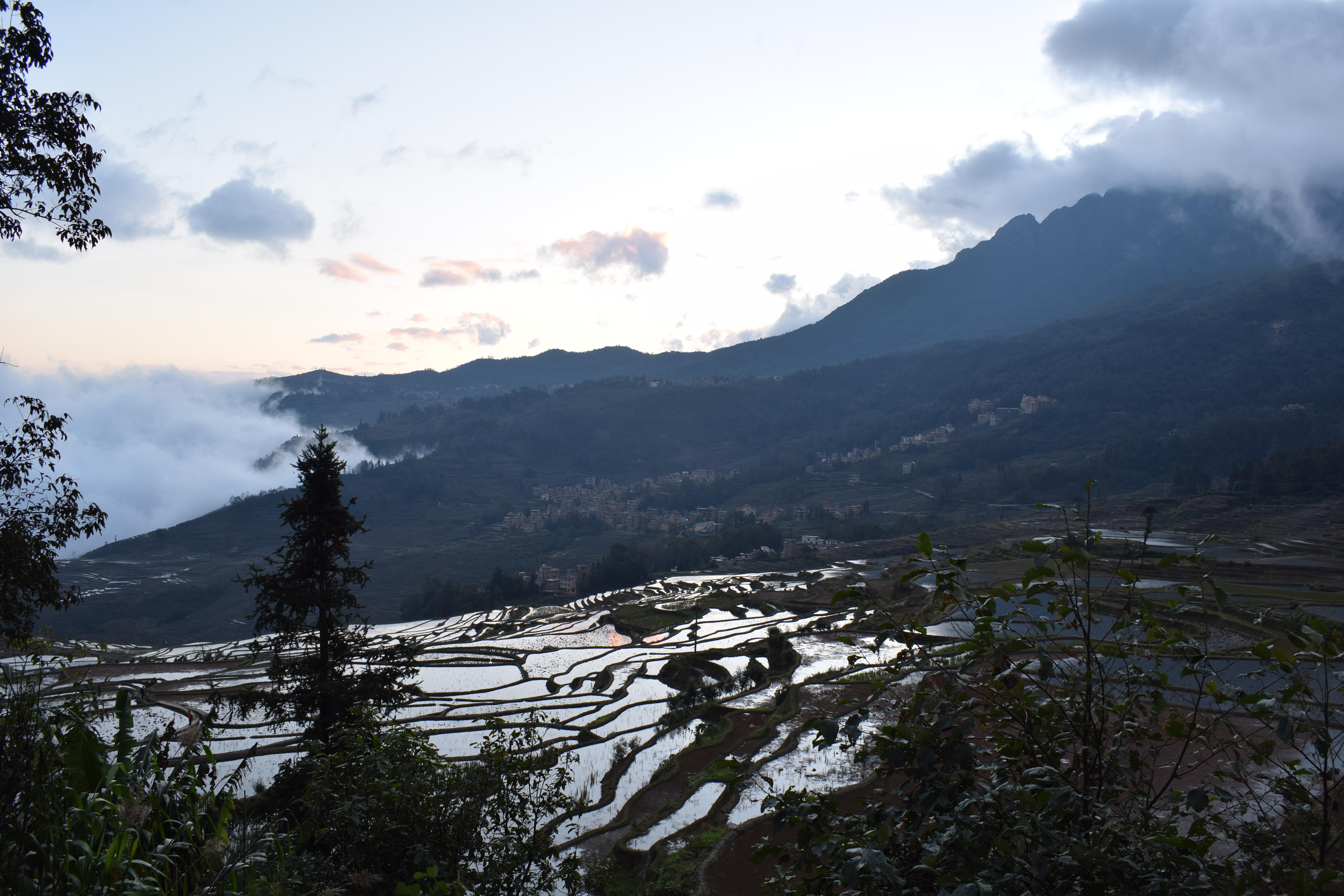 Yuanyang 3
