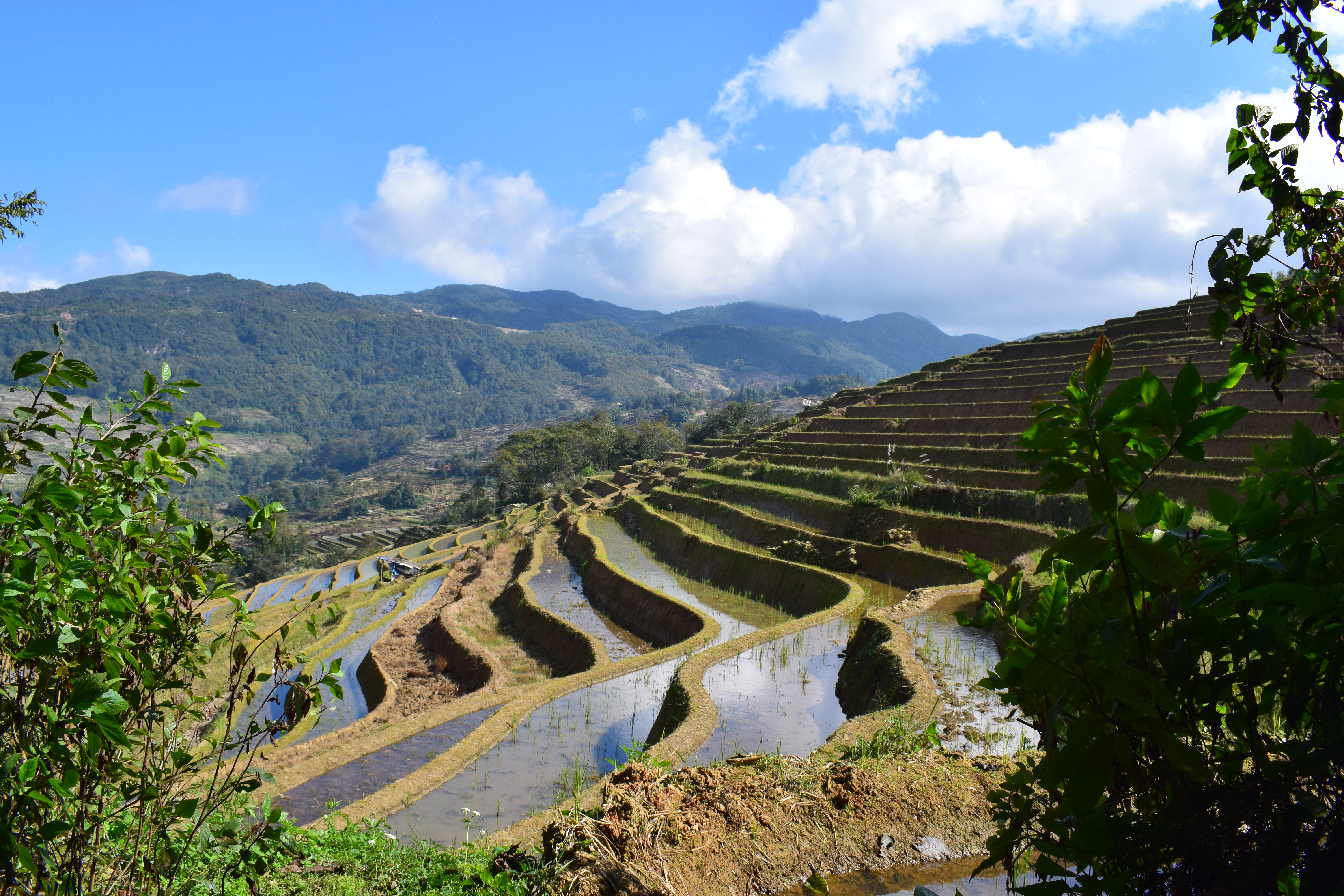 Yuanyang 4