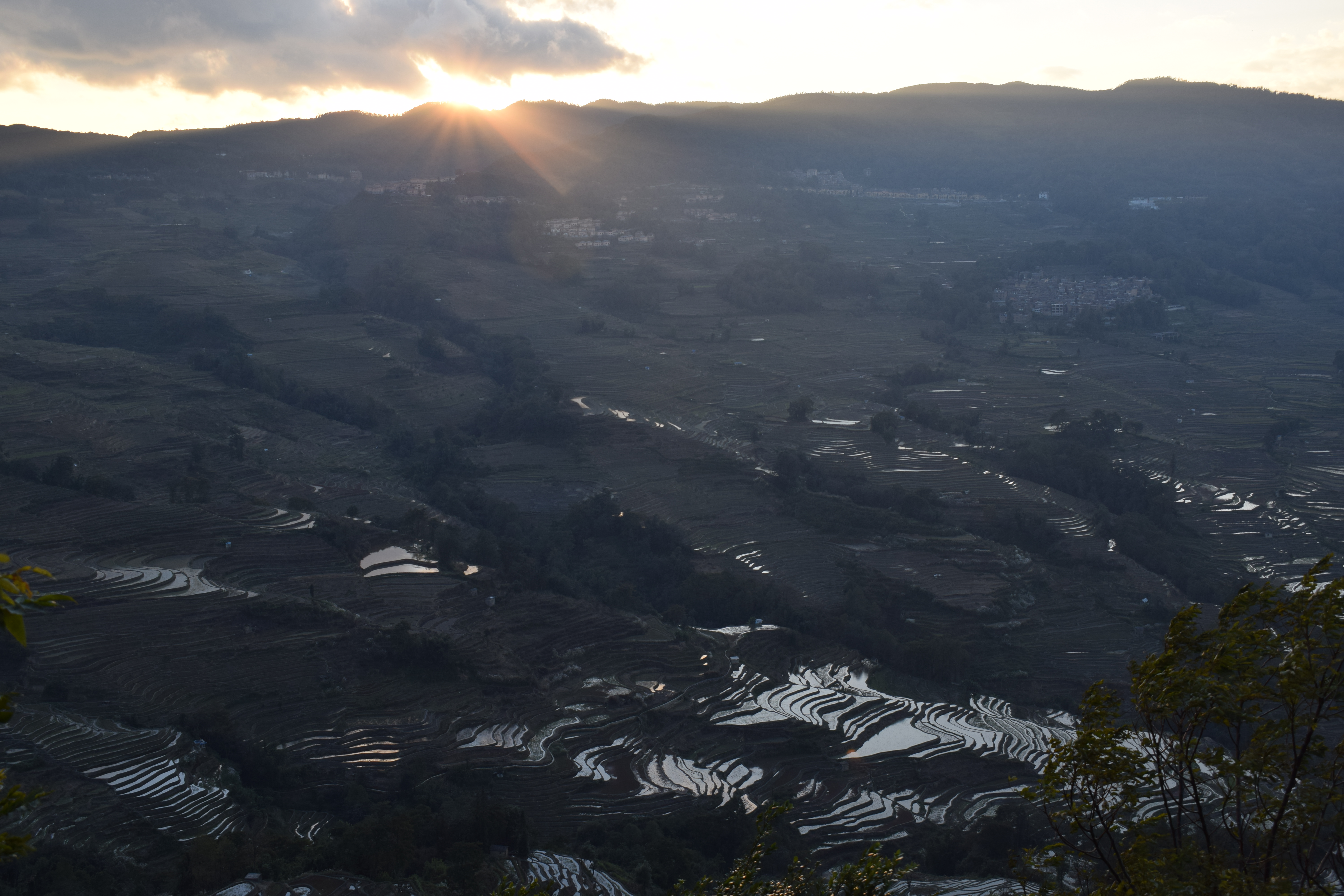 Yuanyang 8